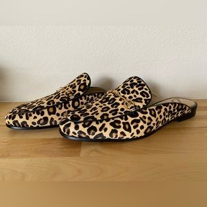 Sam Edelman Linnie 8